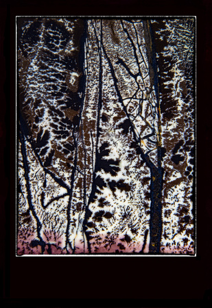 Zen 3585 Dendritic Jasper Trees Border